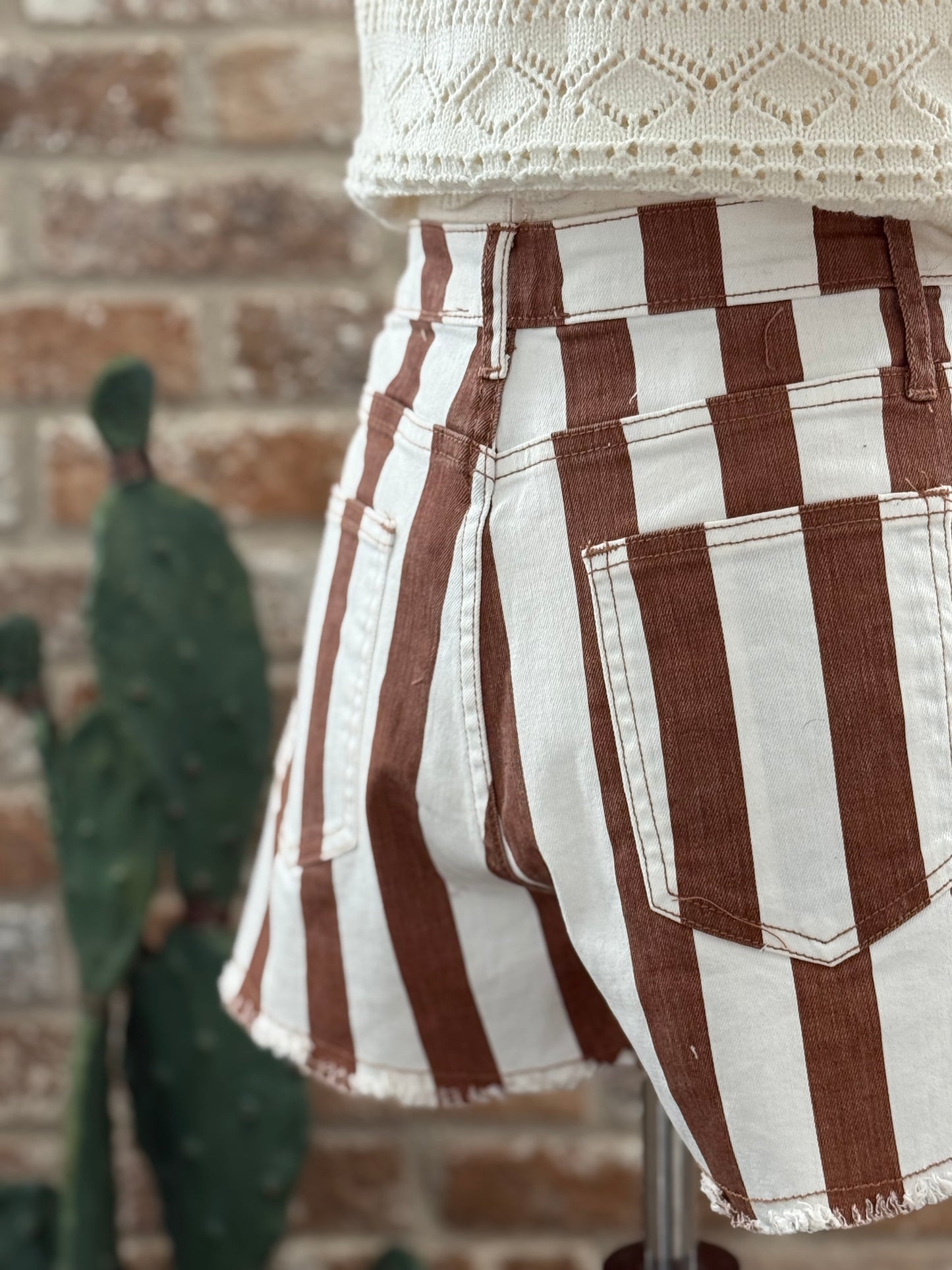 Canela Striped Shorts