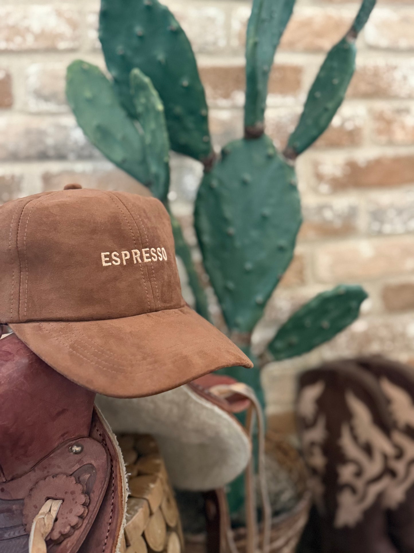 Espresso Embroidery  Suede Baseball Cap
