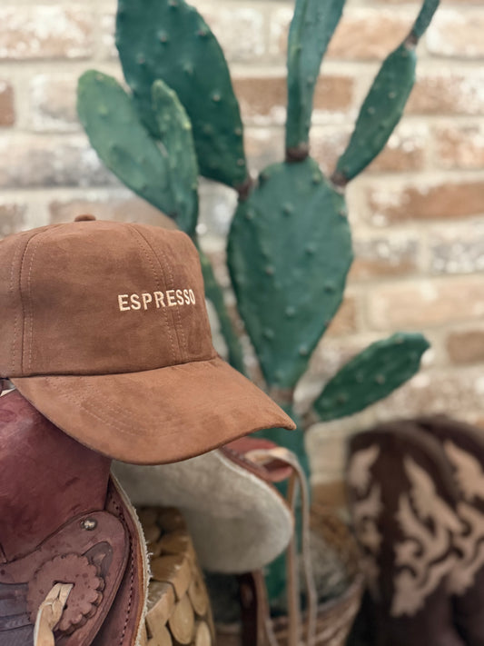 Espresso Embroidery  Suede Baseball Cap